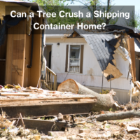 Can a tree Crush a Shipping Container Home