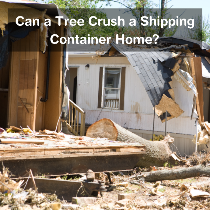 Can a Tree Crush a Shipping Container Home? | 3 Ways to Ensure Your Container Homes Can Hold Impact