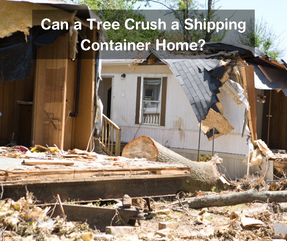 Can a tree Crush a Shipping Container Home