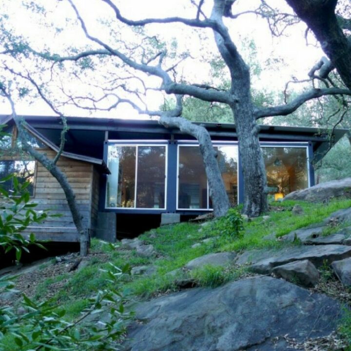 container home beside a tree